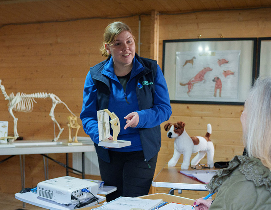 Educator teaching a group about joints and conditions